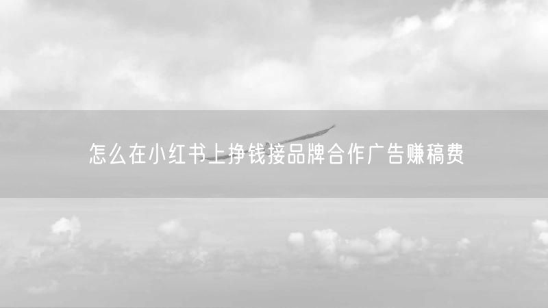 怎么在小红书上挣钱接品牌合作广告赚稿费