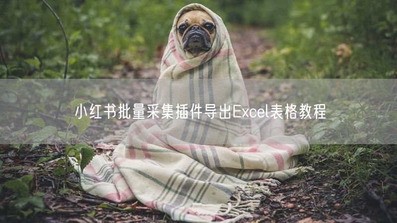小红书批量采集插件导出Excel表格教程