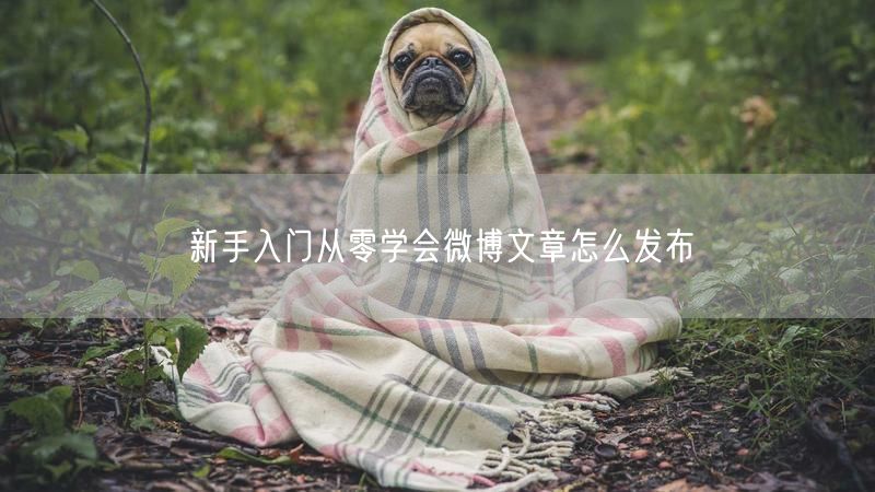 新手入门从零学会微博文章怎么发布