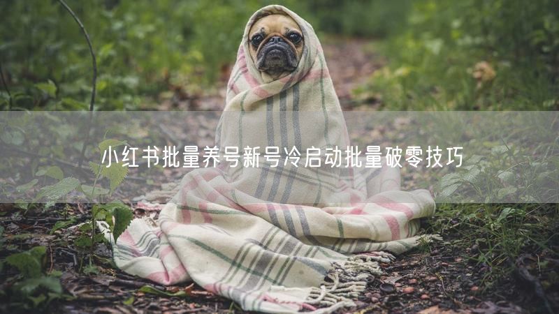 小红书批量养号新号冷启动批量破零技巧