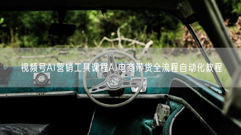 视频号AI营销工具课程AI电商带货全流程自动化教程