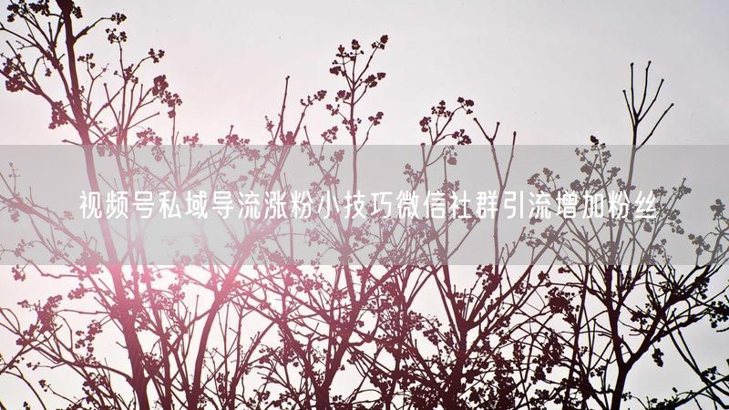 视频号私域导流涨粉小技巧微信社群引流增加粉丝