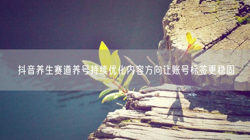 抖音养生赛道养号持续优化内容方向让账号标签更稳固