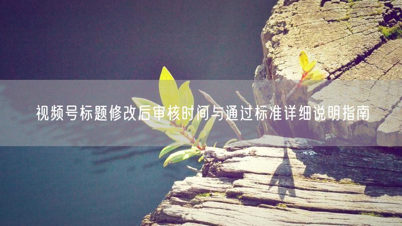 视频号标题修改后审核时间与通过标准详细说明指南
