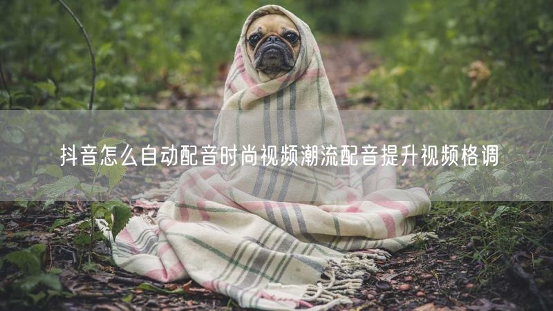 抖音怎么自动配音时尚视频潮流配音提升视频格调