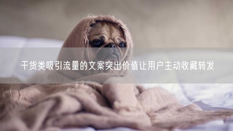 干货类吸引流量的文案突出价值让用户主动收藏转发