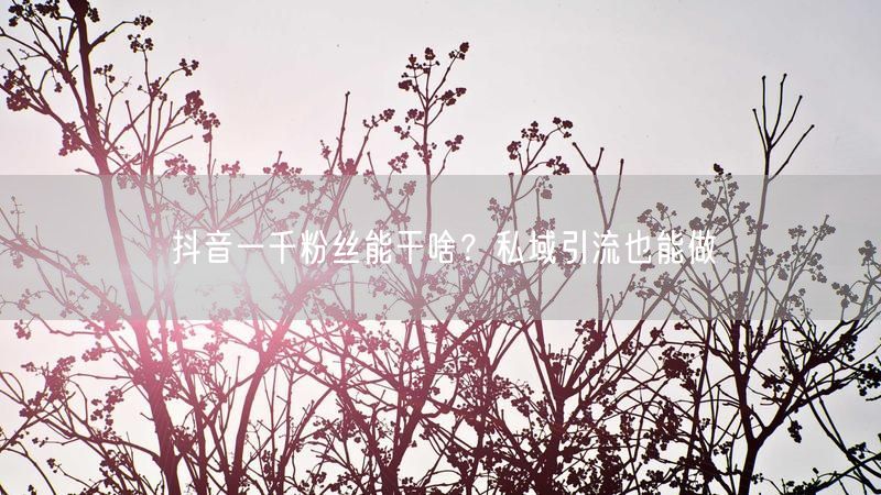 抖音一千粉丝能干啥？私域引流也能做